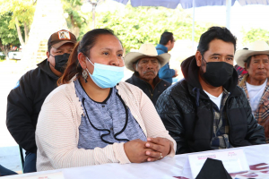 EN HUAQUECHULA, SOLICITAN A CULTURA INTERVENCIÓN DE “LOS AHUEHUETES”