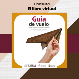 GUÍA DE VUELO