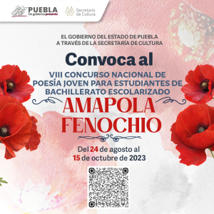 VIII CONCURSO NACIONAL DE POESÍA JOVEN PARA ESTUDIANTES DE BACHILLERATO  ESCOLARIZADO AMAPOLA FENOCHIO