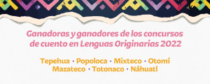 RESULTADOS CONVOCATORIAS LENGUAS ORIGINARIAS