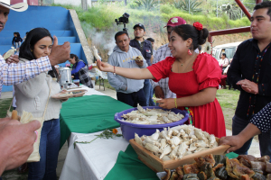 EN TETELA DE OCAMPO, CULTURA CONTINÚA CON MUESTRAS GASTRONÓMICAS DEL SISTEMA MILPA