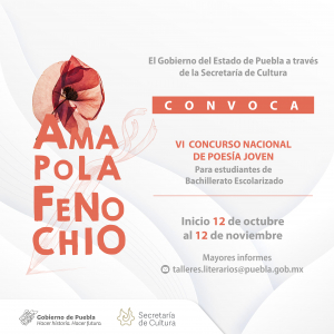 CONVOCA CULTURA AL VI CONCURSO NACIONAL DE POESÍA JOVEN &quot;AMAPOLA FENOCHIO&quot;