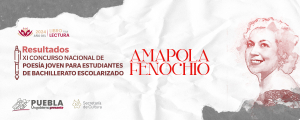 RESULTADOS XI CONCURSO NACIONAL DE POESÍA AMAPOLA FENOCHIO 2024