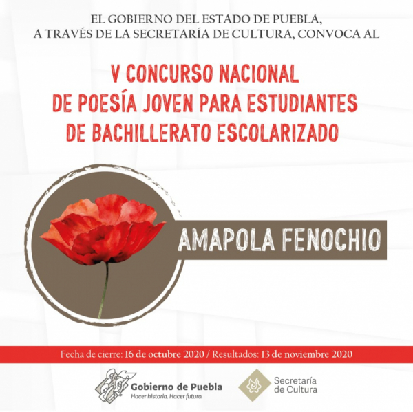 V Concurso Nacional de Poesia Joven para Estudiantes de Bachillerato Escolarizado &quot;Amapola Fenochio&quot;